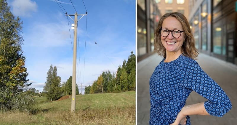 Betongstolpe Susanne Stjerndeldt