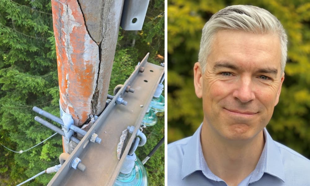 Bild - stor variation i betongstolpars livslängd