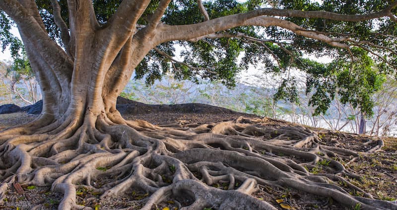 Programbild Termiska energilager.jpg
