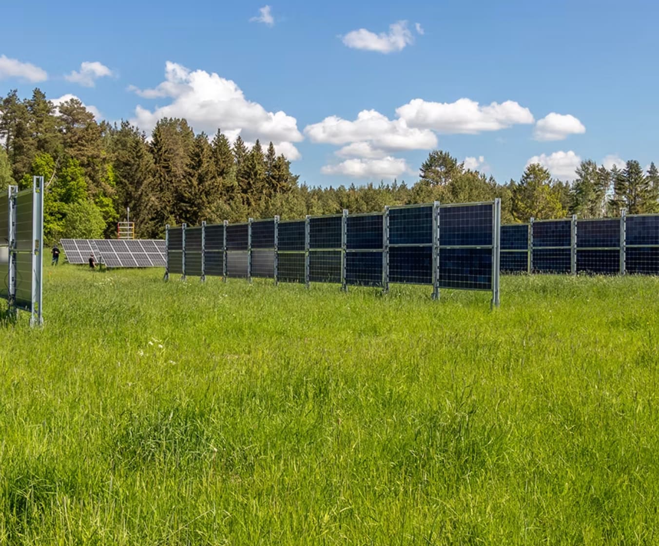 Webbinarium Agrivoltaics