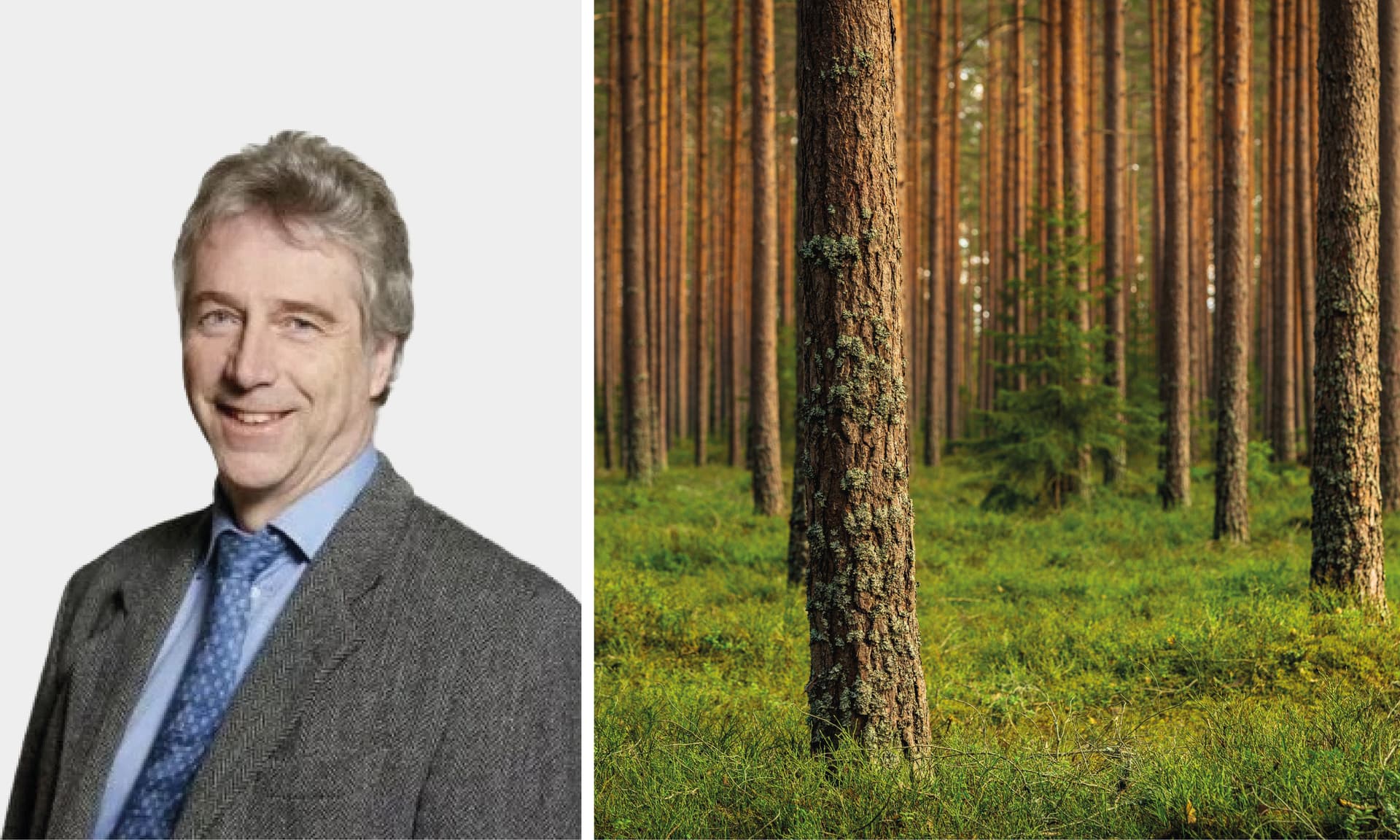 Modern flisningsforskning kan stärka massa och- pappersindustrin