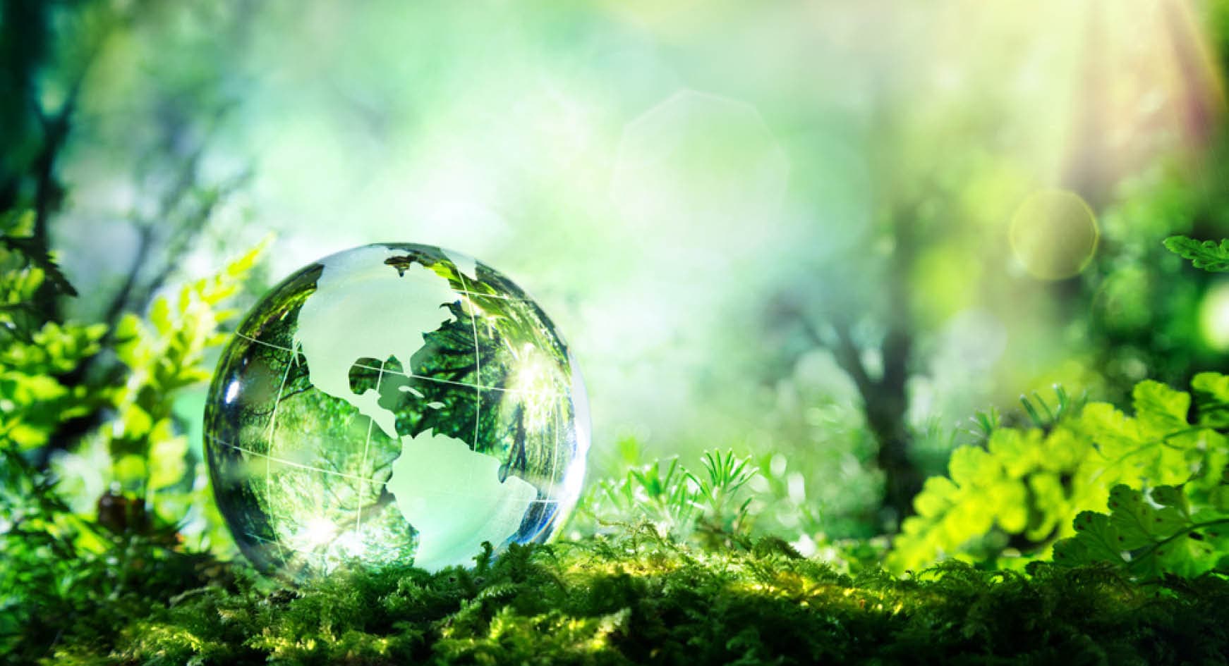 Standardisering inom SIS