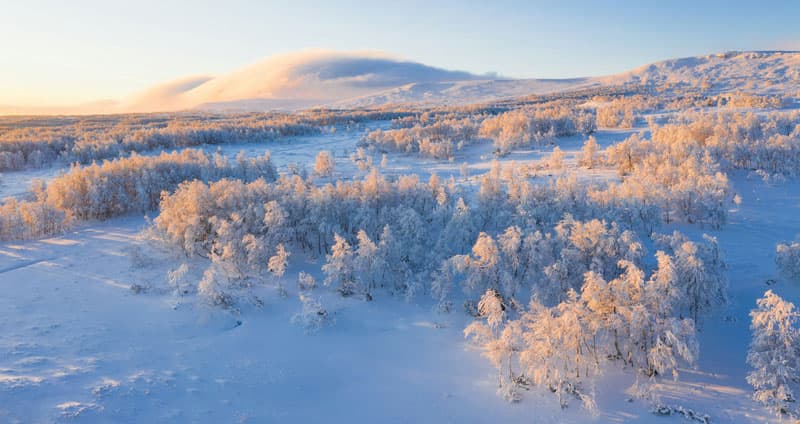 Annual seminar on Grid interaction with nuclear power plant operations and Vibrations in nuclear applications .jpg