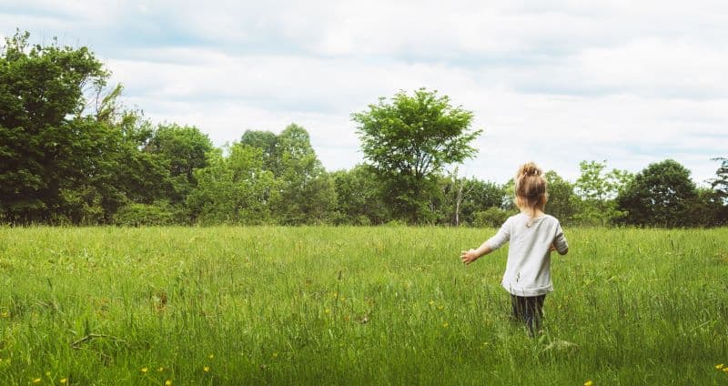 Mistra Electrification