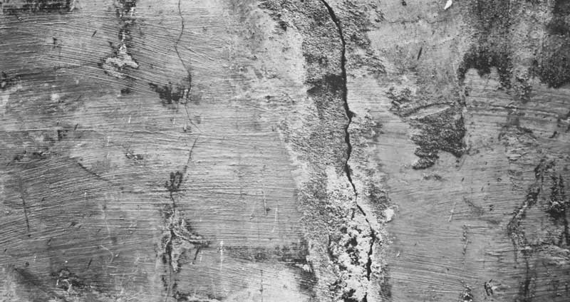 Svc Lunchwebbinarium 29 September