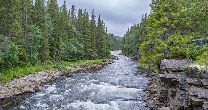 2025 1097 Bild Webben